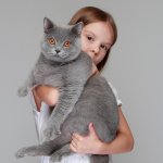 Cat-Cat_Guide-A_little_girl_holding_a_cat
