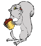 animated-squirrel-image-0022